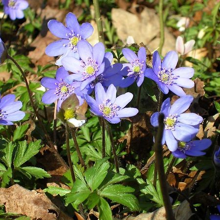 Krogsered Wismens Natur & Fiske מראה חיצוני תמונה