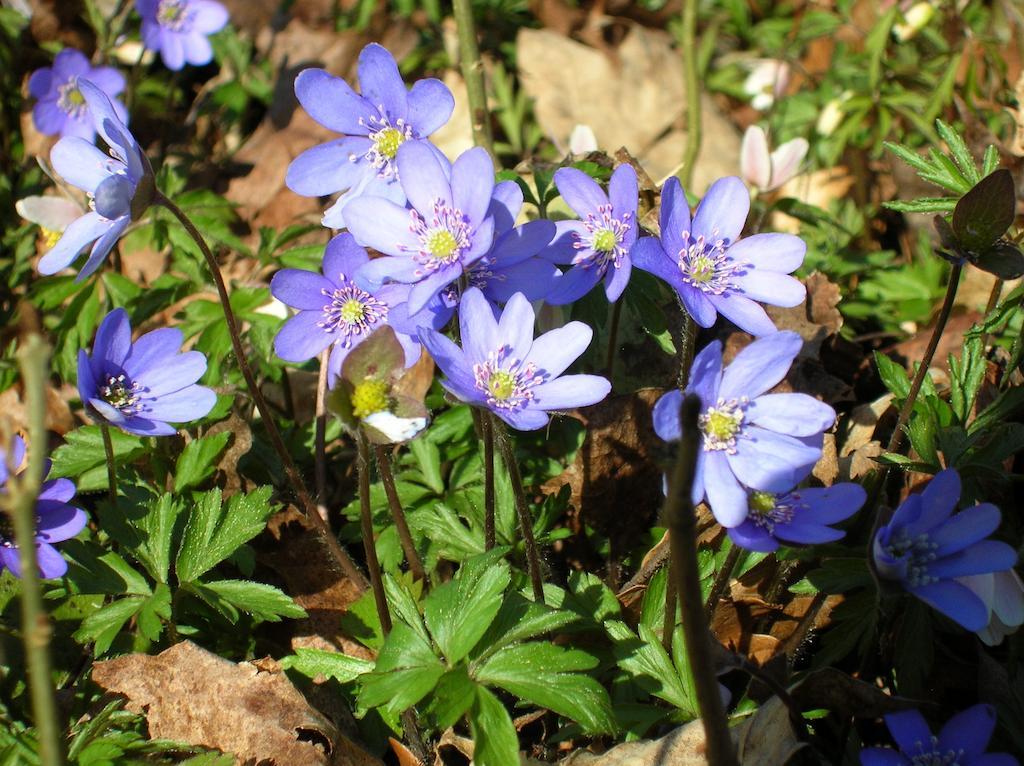 Krogsered Wismens Natur & Fiske מראה חיצוני תמונה